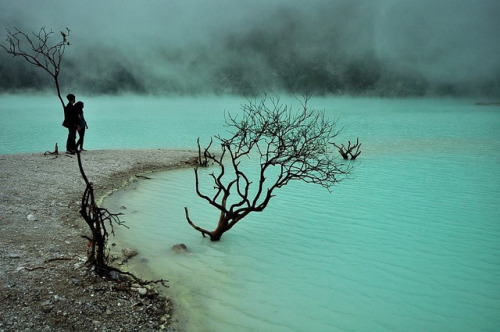 90377: The mystical fog of “Kawah Putih” by reyhanfabianto@ymail.com on Flickr.