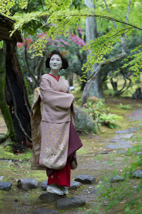 geisha-kai:May 2017: maiko Katsuna of Kamishichiken wearing the sakkou hairstyle by tata999-blogShe’