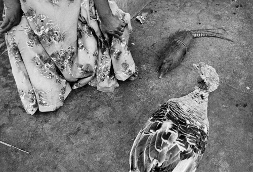 The extraordinary photographic work of Graciela Iturbide: excerpts from Juchitán, comprising of ten 