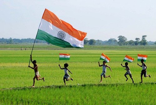 munfali-ka-chilka:
“ Happy Independence Day!!
”