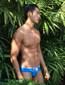 Viva!Asian hunks!