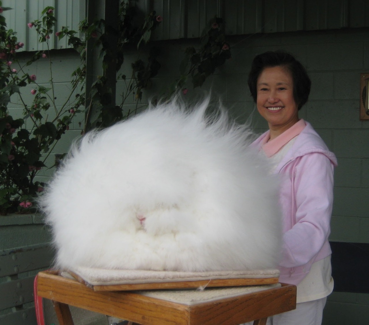 miseducationofapoet:  angrypolak:  amarghella:  My whole young adult life I wanted