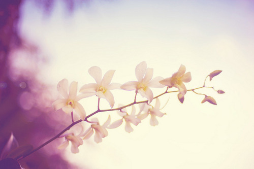 timefliestoday:  I need to believe that something extraordinary is possible. by islandgirlsj on Flickr. 