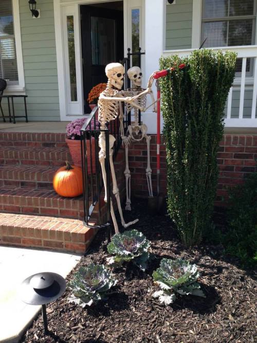 spookydeerchild:kristenraemiller:For the month of October ‘til Halloween, my dad changes up th