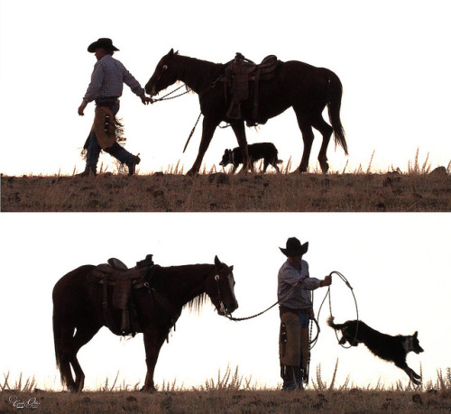 chillypepperhothothot: A cowboy and his horse and dog by classymis on Flickr.