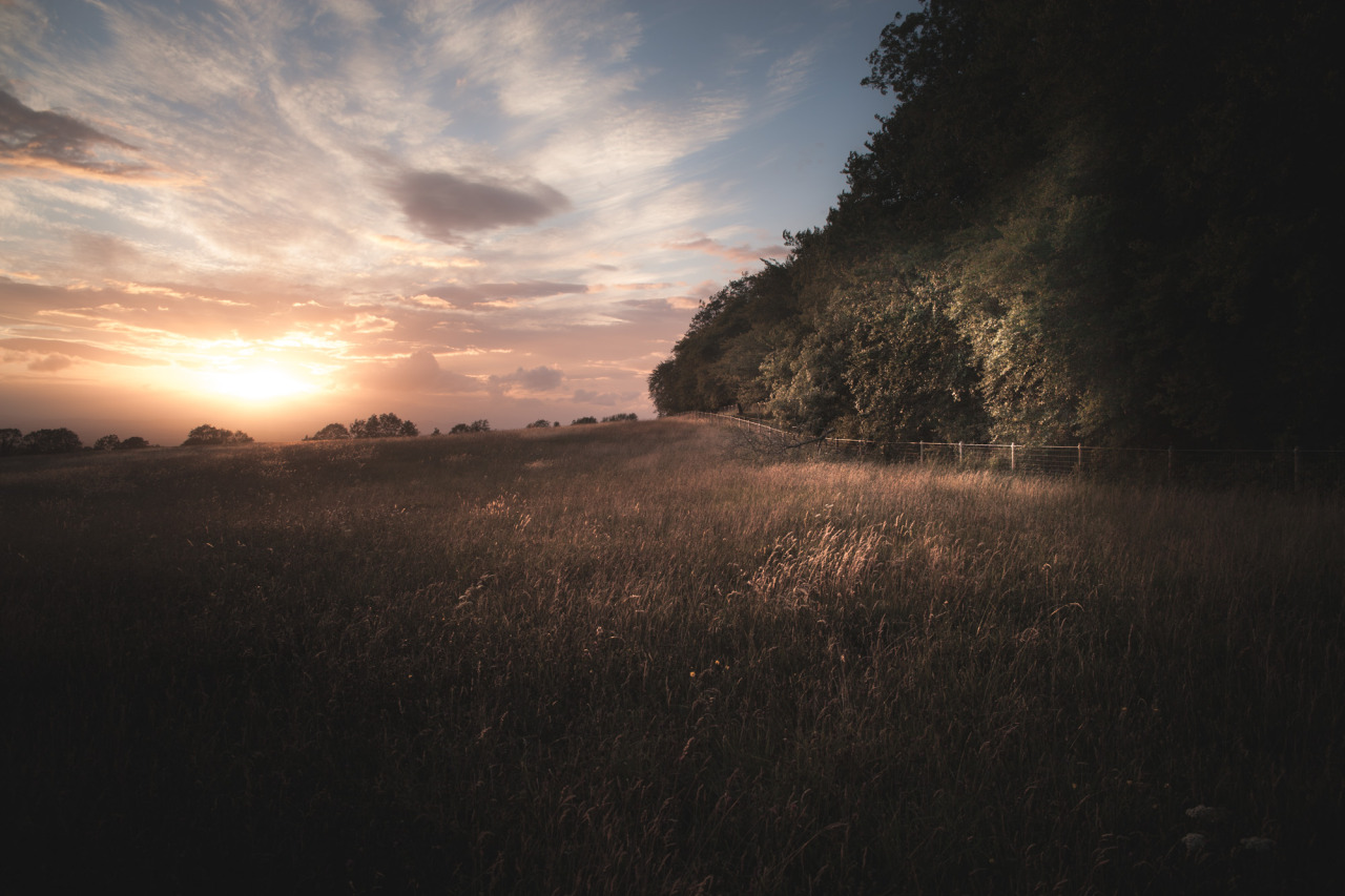 freddie-photography:  Summer sun on Fields and Forests. Gloucestershire, UK  By Freddie
