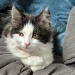 birdfuckeronline:Look at those paws! 