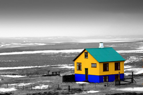 Icelandic houses are the color against the gray. 