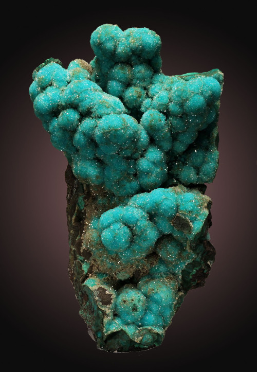 Chrysocolla covered in Quartz - Inca de Oro, Chañaral Province, Atacama Region, Chile