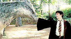 stevebuscemi:  I hope he finds me, cause when he does I’m gonna be ready. When