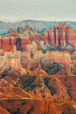 This looks like Bryce Canyon! Omg Utah in