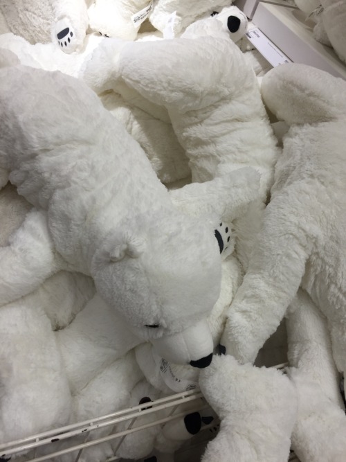 Porn This pile of polar bears at IKEA is my aesthetic photos