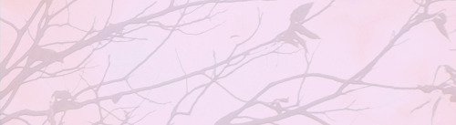 hitouka: ‘’I never found out your real name. But―I don’t need to know. Nezumi,