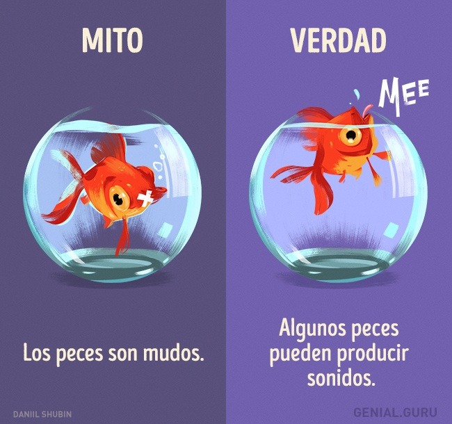 SUPER CACHONDEO