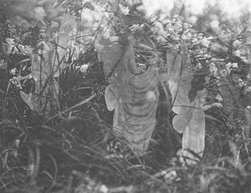 Elsie Wright (1901-1988) and Frances Griffiths (1907-1986) - The Cottingley Fairies (1917)