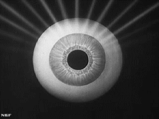 Classroom Films, How the Eye Functions, 1941