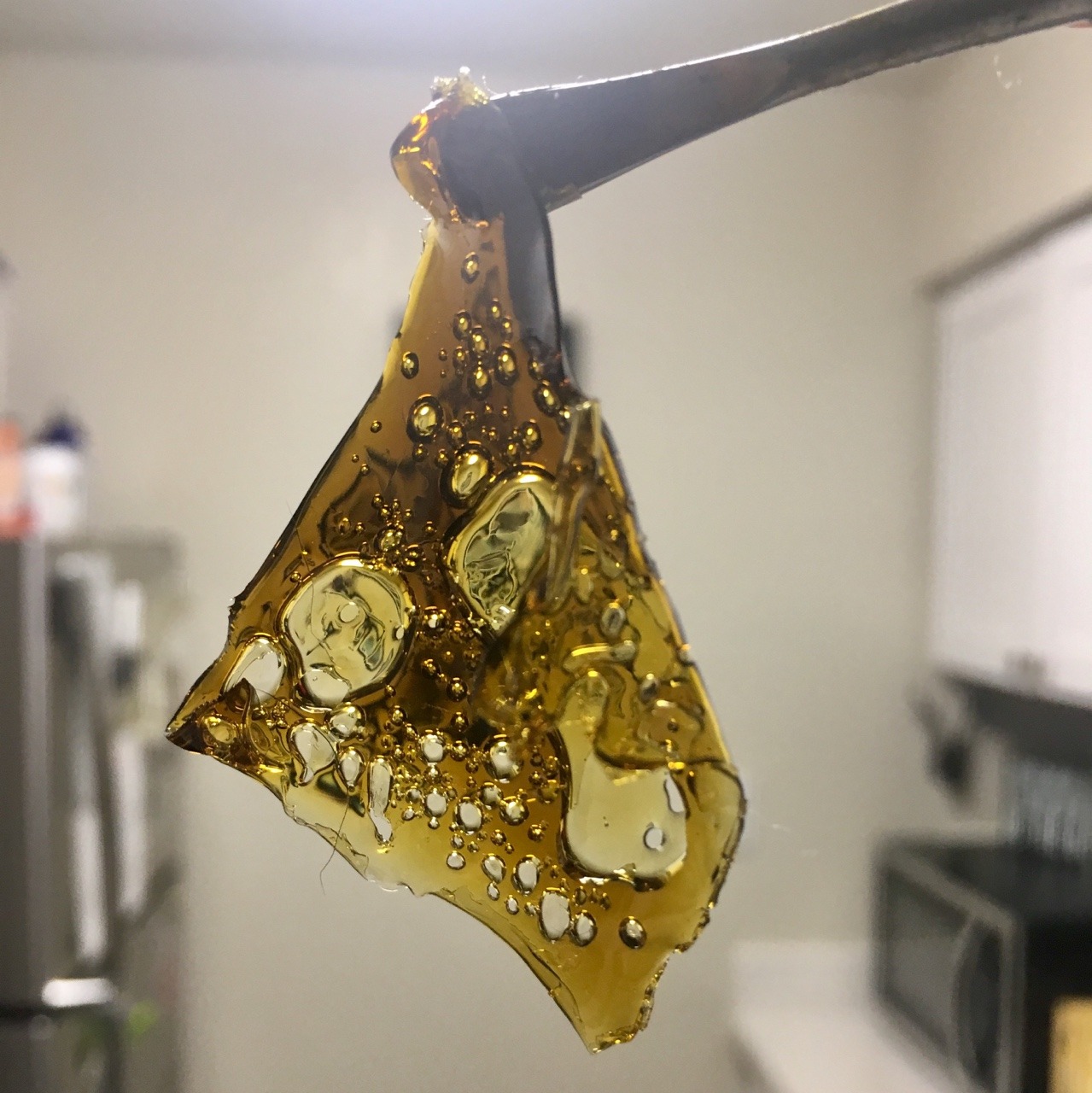 bong-rips-pretty-tits:  Mendo Breath from Budee in sactown