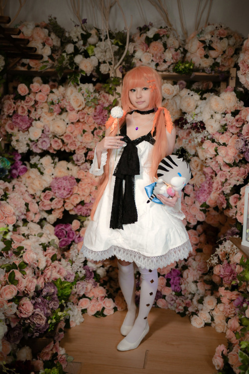 極楽鳥花 (Part 1)  キングダムハーツ ユニオンクロス  KINGDOM HEARTS Union χ [CROSS] ストレリチア  Strelitzia cn 小夕 Yuu Photo 