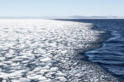 There’s something quite magical about reaching the edge of the sea ice and knowing there&rsquo