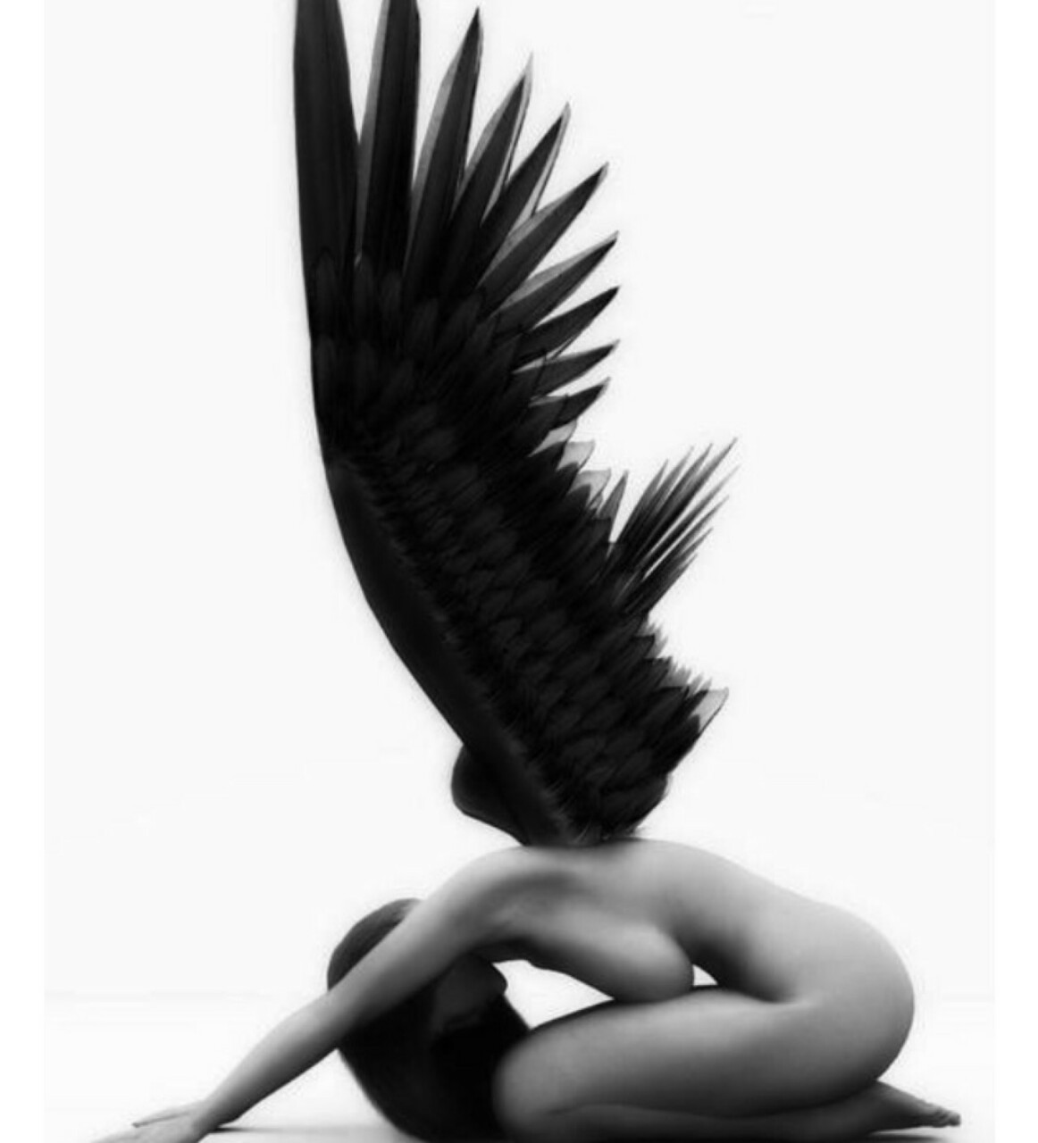 stefanorewind:  Angel…