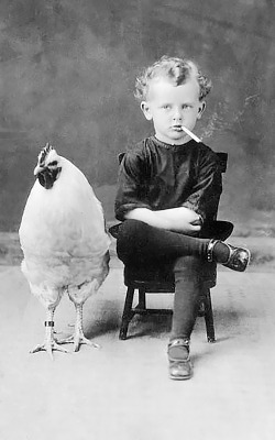 20th-century-man:  “Back off, chicken…