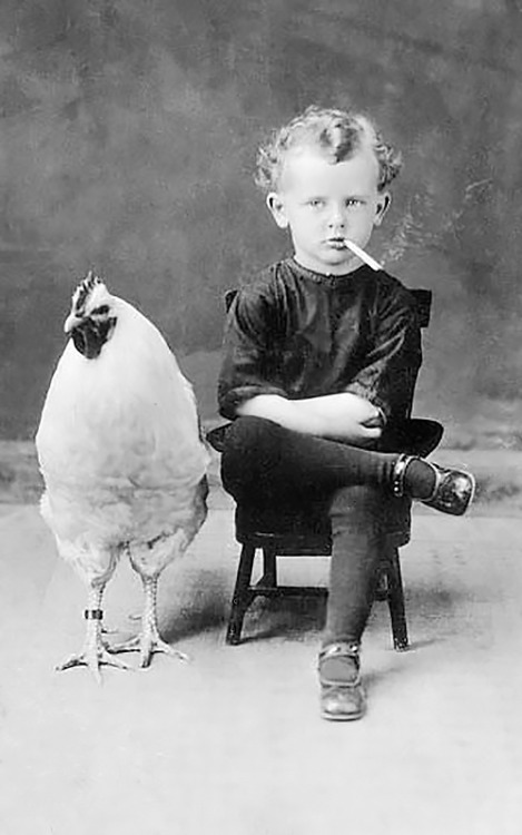 Porn photo 20th-century-man:  “Back off, chicken…