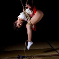 sugiuranorio:  今日公開した新作からもう一枚。 Photo:Norio Sugiura / Model:Shiho Aoi / Rope:Akira Naka #緊縛 #縛り #杉浦則夫 #写真 #伝統 #麻縄 #日本 #フェチ #shibari #kinbaku #ropebondage #bound #japan #japanese #ropebunny