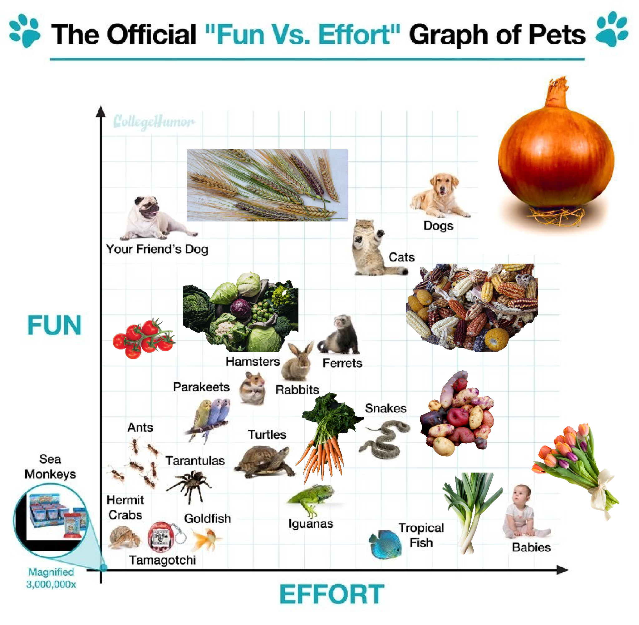 Botany Memes Explore Tumblr Posts And Blogs Tumgir Botany Memes Explore Tumblr Posts And Blogs Tumgir