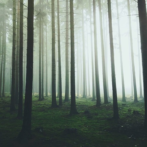 noodles-give-me-love:Location: Czech Republic on We Heart It - http://weheartit.com/entry/166512659