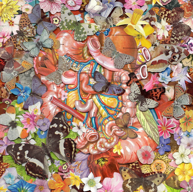 devidsketchbook:  ANATOMICAL COLLAGE BY BEN GILES UK, Kingston-based artist Ben Giles (Tumblr / Society