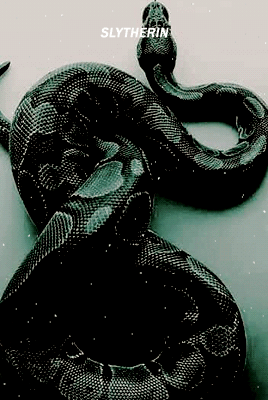 jesperwylan:Hogwarts houses : Slytherin.o r   p e r h a p s   i n   s l y t h e r i n ,y o u ’ l l  