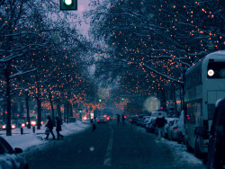 the-chilly-seasons: Christmas lights appreciation