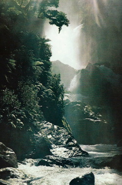 Vintagenatgeographic:  Mackay Falls, New Zealand National Geographic | January 1978