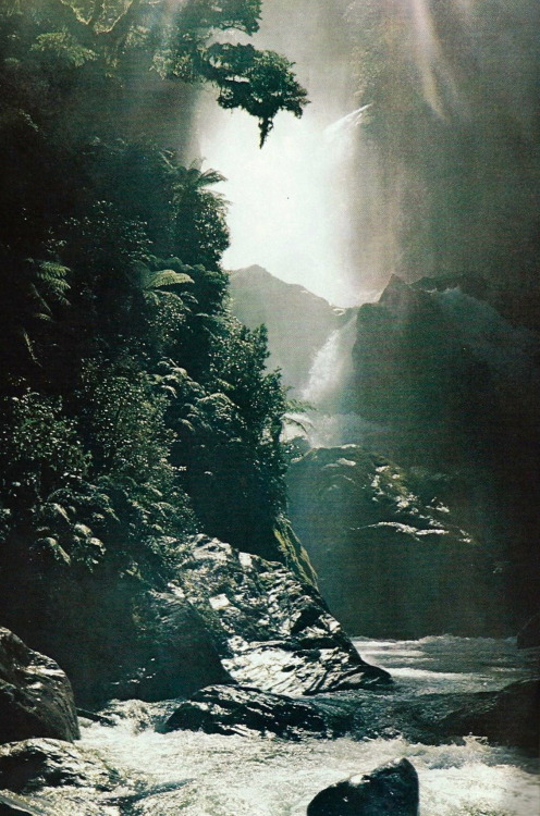 Sex vintagenatgeographic:  Mackay Falls, New pictures