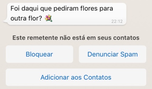 luzdmorena