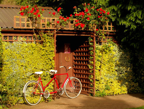 fayfreshwater:  Love Shack.