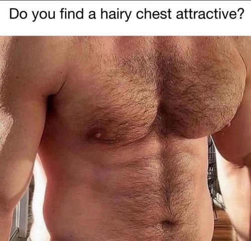 Do You Find A Hairy Chest Attractive? Yes Or Yes? What A Difficult Answer.