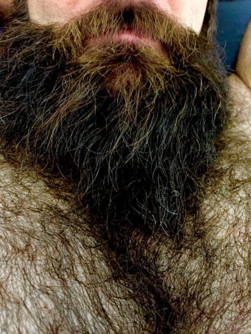 Porn sydneyweirdbeard: Furry perfection  That’s photos