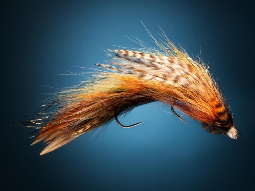 NEW WORK: Streamer Flies for Field & Stream, styling by Marcus Fisher