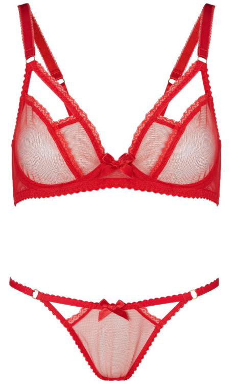 L’Agent by Agent ProvocateurBra here x Knickers here