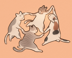 lindsayolohan: papayacats: 猫祭り  me