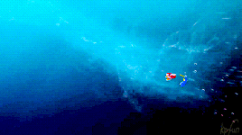 kpfun:Dory, you are about to find your parents, and when you do that, you’ll be… home.