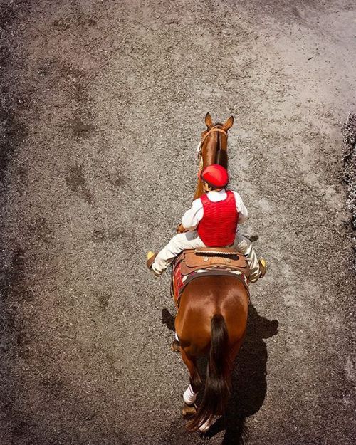 (1) Vanessa Hugues is a professional photographer, filmmaker, traveler, and equine addict based in S