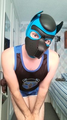 puppy-apollo:  Woof! Got myself a new face!