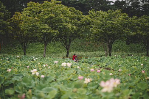 2021-07-17Canon EOS R6 + RF85mm f1.2LInstagram  |  hwantastic79vivid