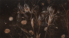 49cf938130a37e6132f9d75555175468ff8533a4.gif