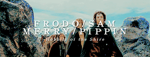 lotrlorien:  The Fellowship of the Ring 