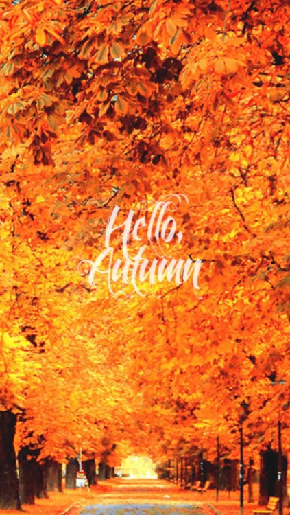 wishfullyautumn: Endless Autumn Coziness