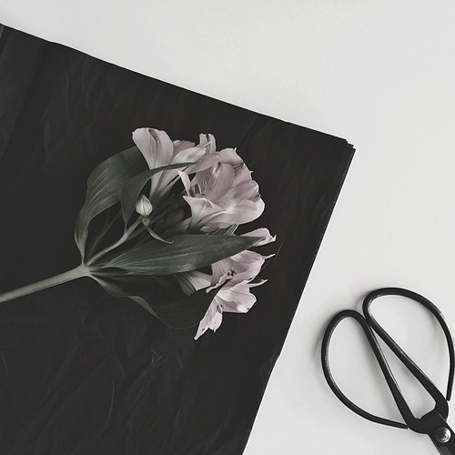 GALISM | via Tumblr sur We Heart It.