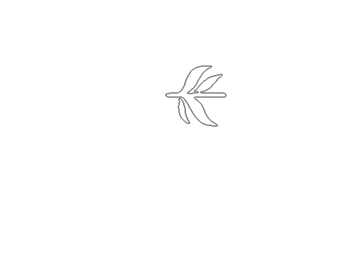 alyssascottart:Photoshop Plant Brush Set #2Hey! I know a lot of you have messaged me about getting t